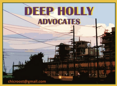 Deep Holly Advocates logo